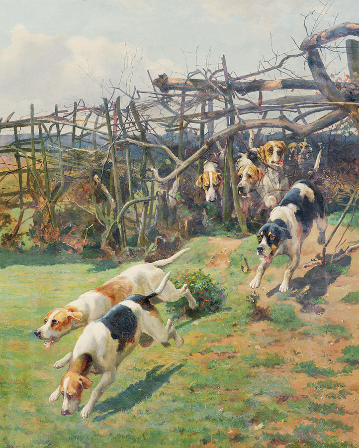 Dog Painting - Through the Fence by Arthur Charles Dodd