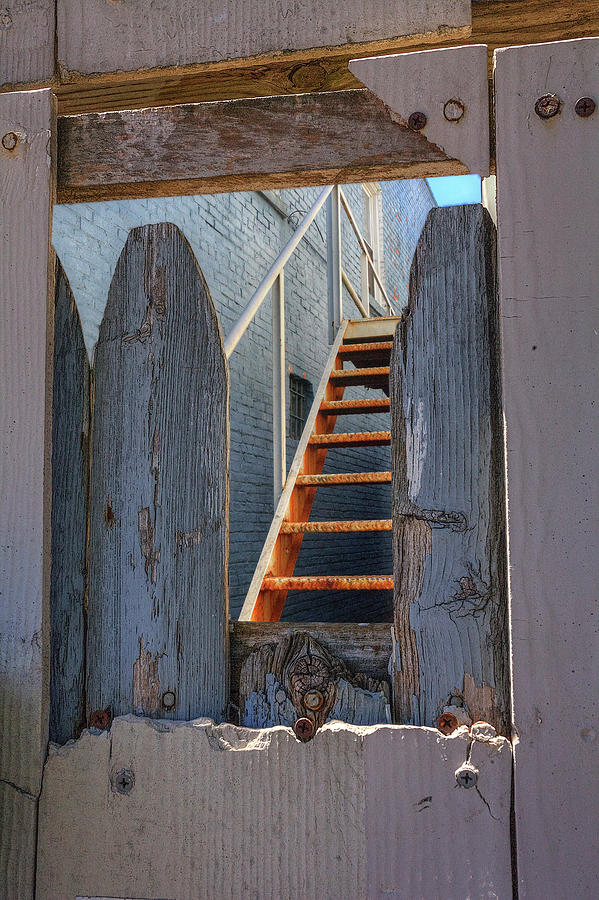 Through the fence in the allley up the stairs Photograph by Steve Gravano