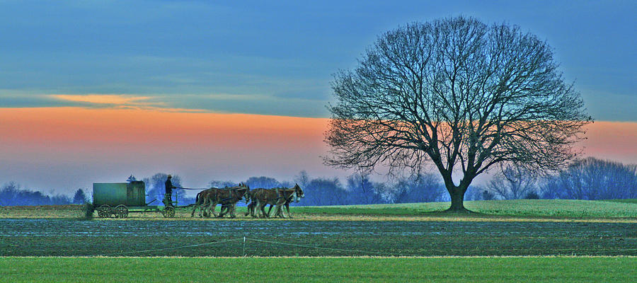 Horse Photograph - Through The Fields by Scott Mahon