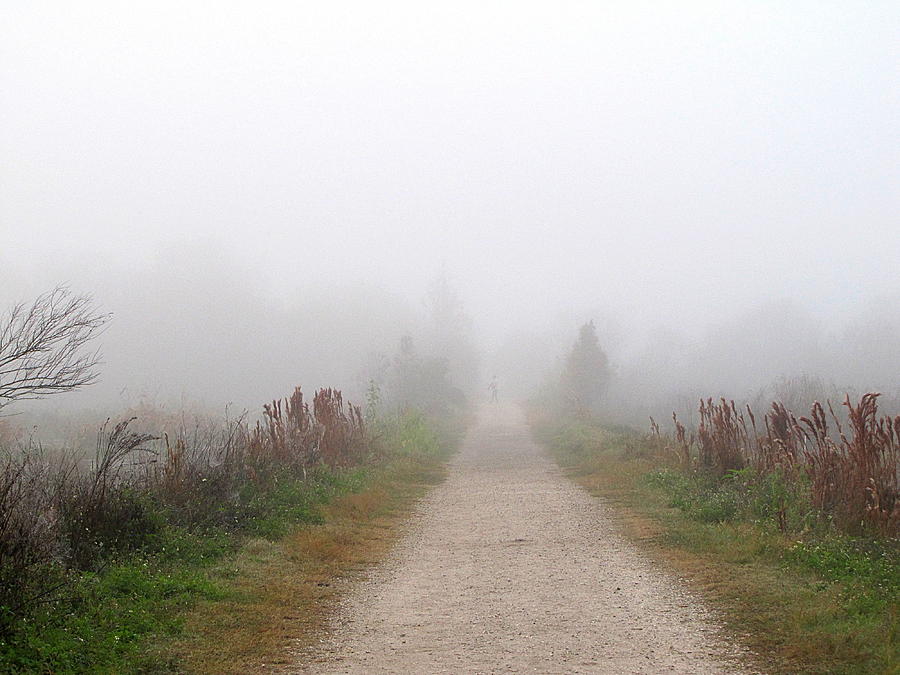 Through the fog Photograph by Christopher Mercer