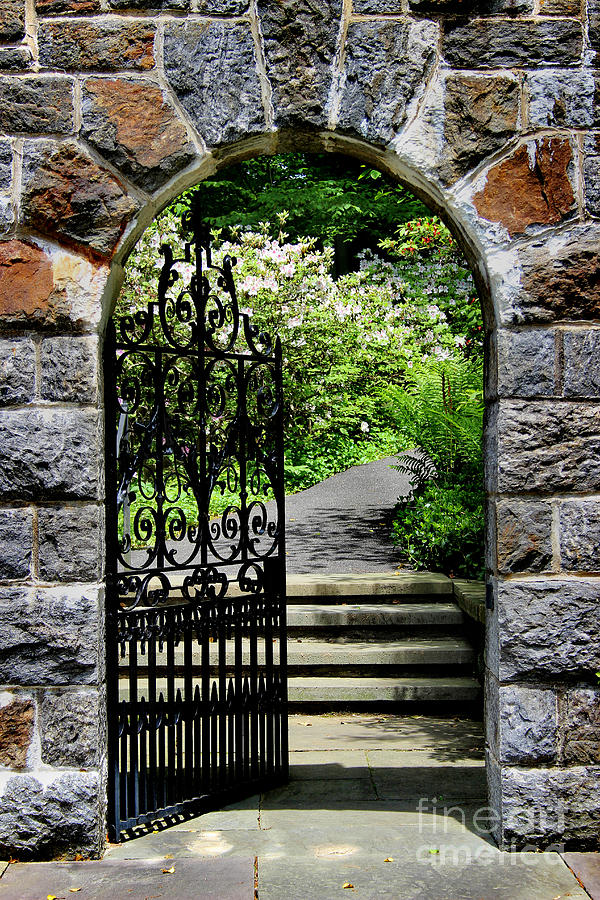 Through the Garden Gate Photograph by Karen Adams
