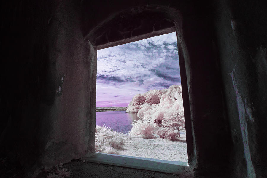 Through the Infrared Window Photograph by Brian Hale