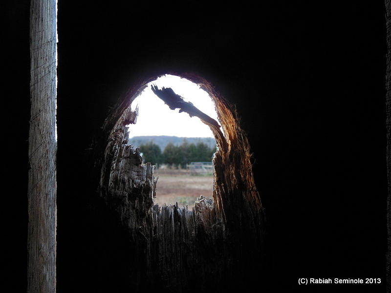 Through the Knot Hole Photograph by Rabiah Seminole