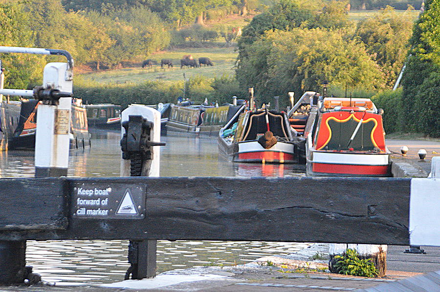 Through the Locks Photograph by Andy Thompson