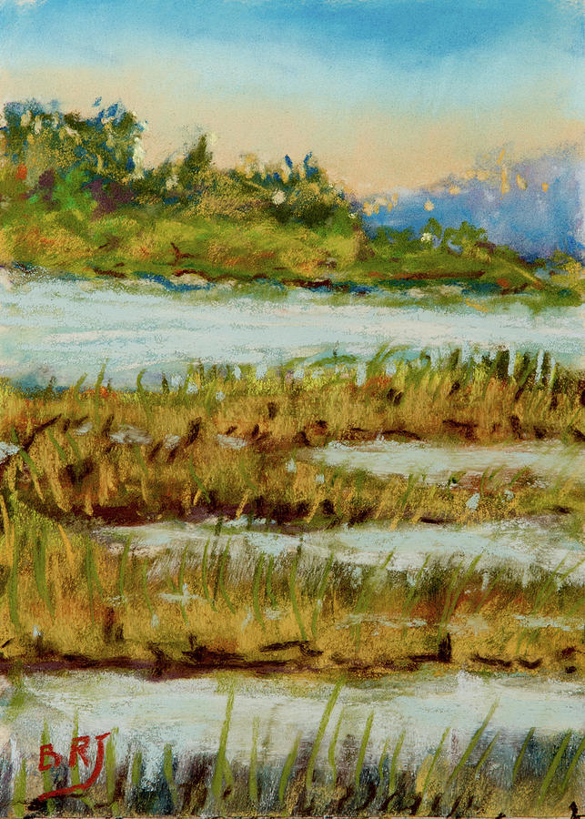 Through the Marsh Painting by Barry Jones