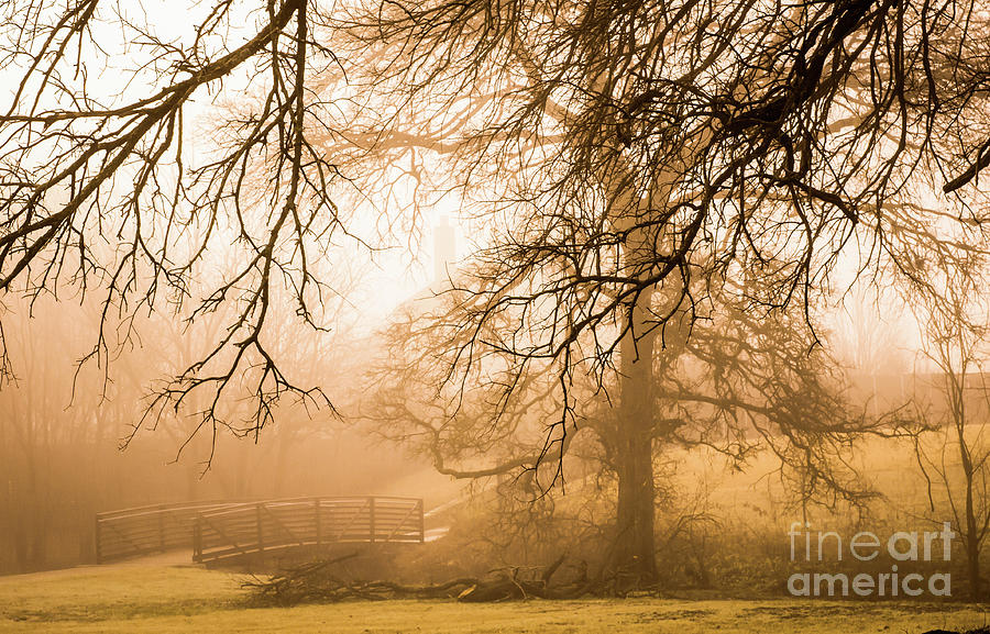 Through the Mist Photograph by Rafia Malik