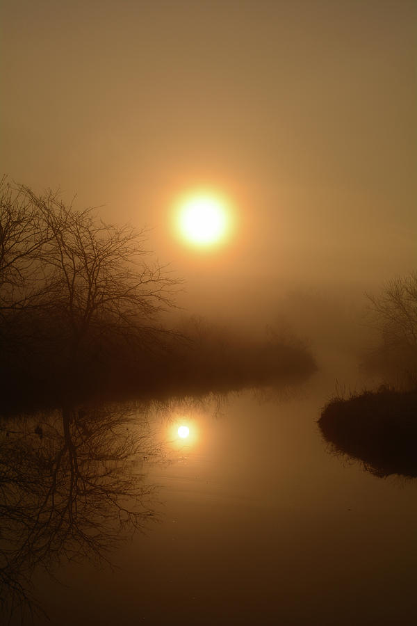 Through the murky mist Photograph by Bonfire Photography