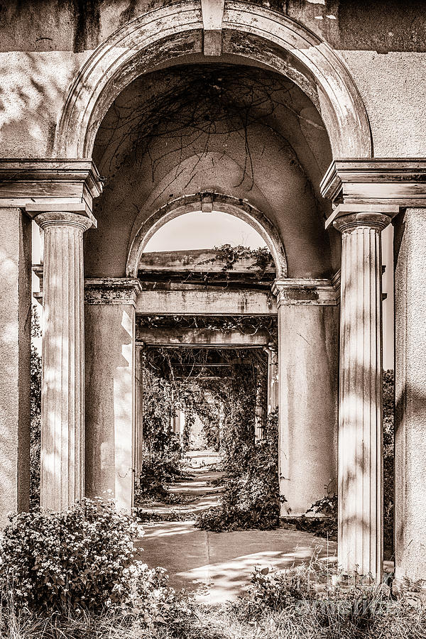 Through the Old Columns Photograph by Terri Morris