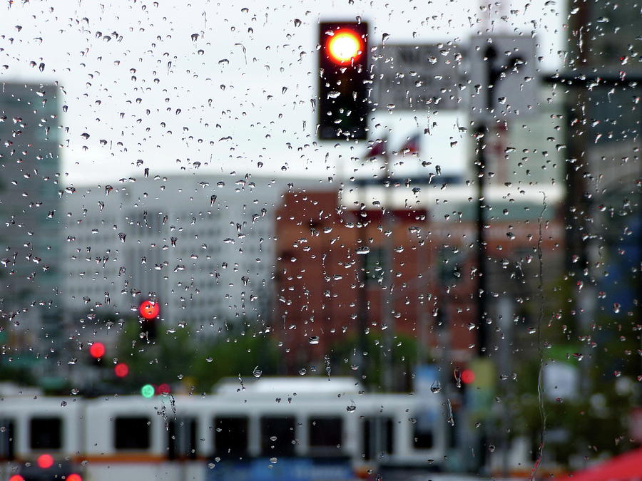 Through the Rain Photograph by Lyuba Filatova