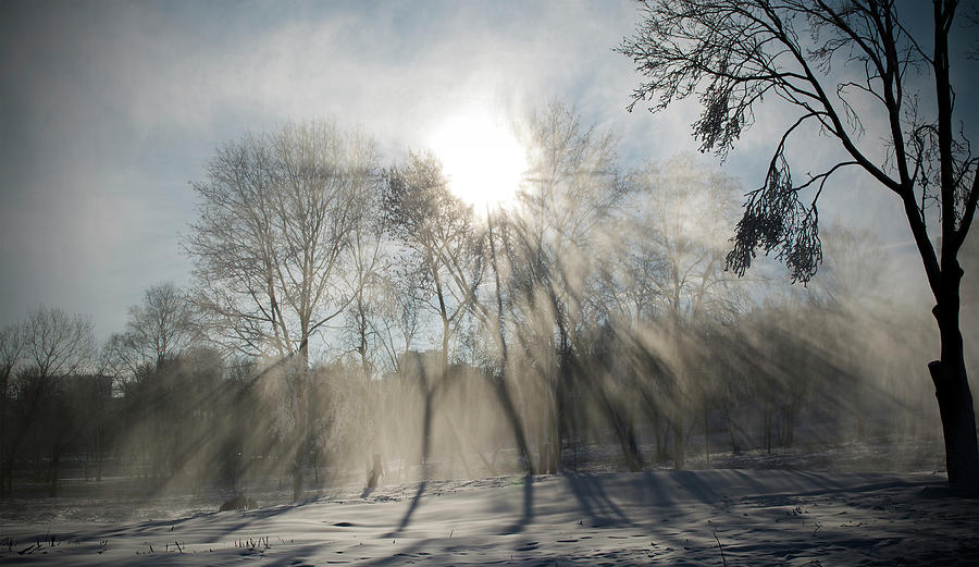 Snow Photograph - Through the snow by Konstantin Bibikov Snow Photograph - Through the snow by Konstantin Bibikov