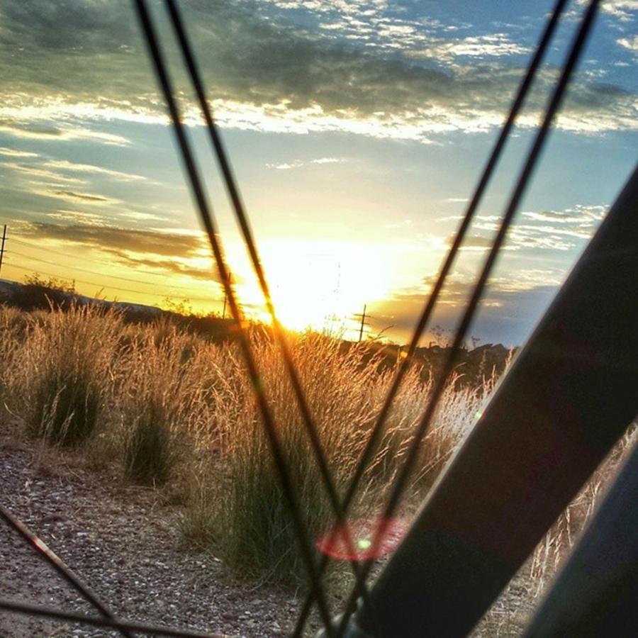 Through The Spokes This Morning Photograph by Travis Turner