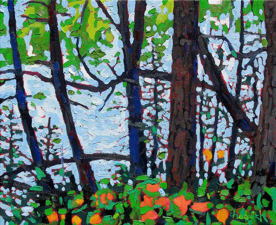 Through the Trees Painting by Phil Chadwick
