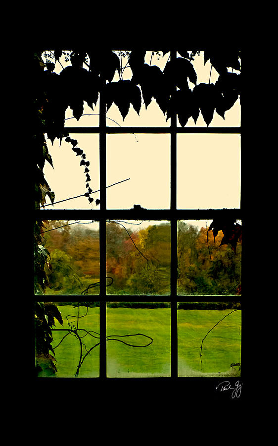 Through the Window Photograph by Paul Gaj
