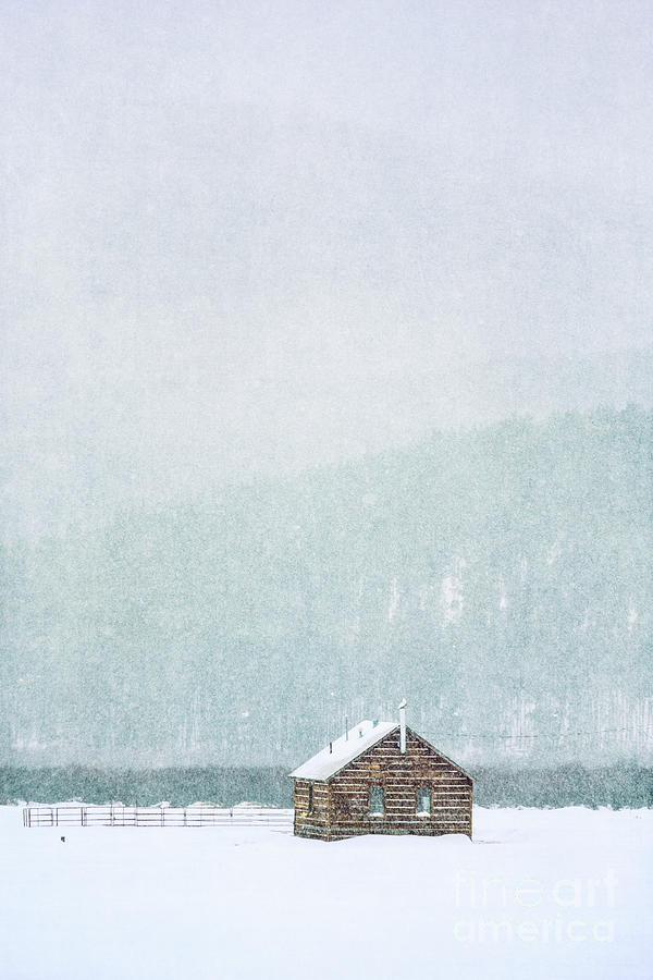 Winter Photograph - Through Winters Air by Evelina Kremsdorf