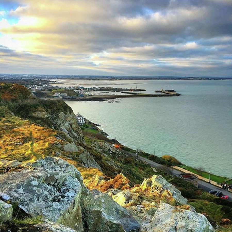 Nature Photograph - Throw Back To Our Recent Trip To Howth by Paul Stayt