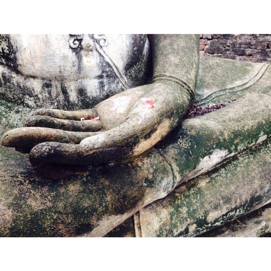 Buddha Photograph - #throwback #squaready #bkk #buddha by Kang Choon Wong