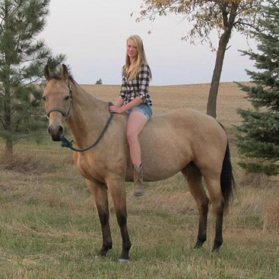 Horse Photograph - Throwback To When I First Got Buck And by Neli Kvale