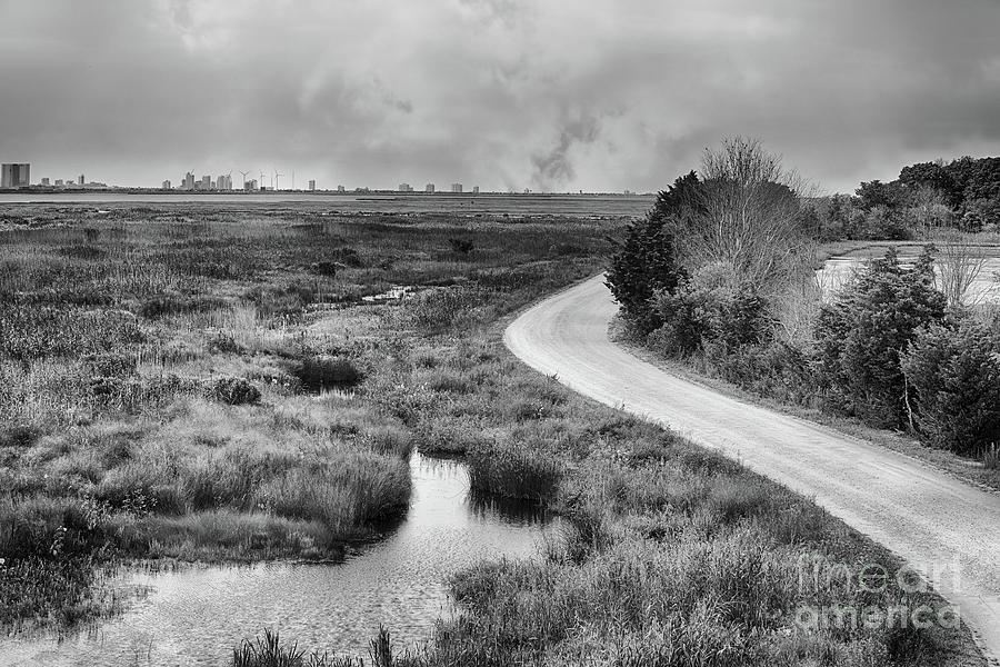Wildlife Photograph - Thru The Wetlands to Atlantic City by Tom Gari Gallery-Three-Photography