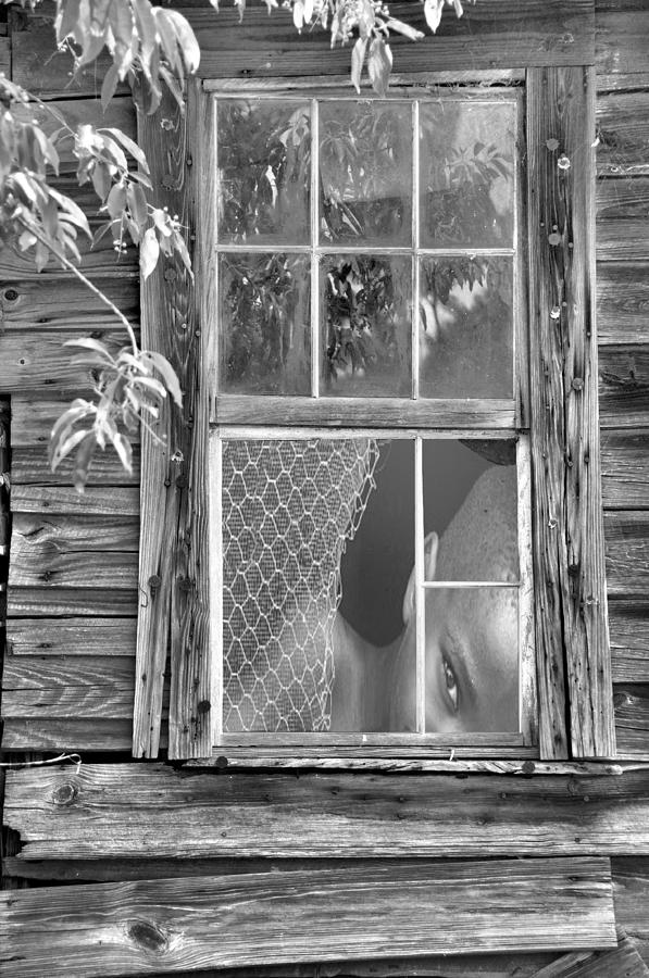 Still Life Photograph - Thru The Window by Jan Amiss Photography