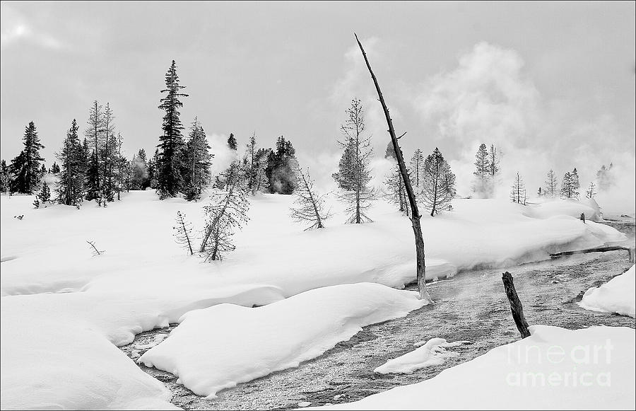 Yellowstone Photograph - Thumb Basin by Mark Braun Yellowstone Photograph - Thumb Basin by Mark Braun