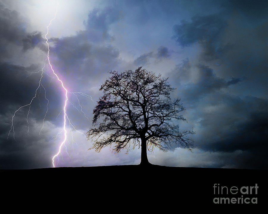 Thunder and Lightning Photograph by Edmund Nagele FRPS