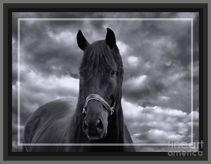 Thunder Chasing the Storm in Black and White Photograph by Sandra Huston