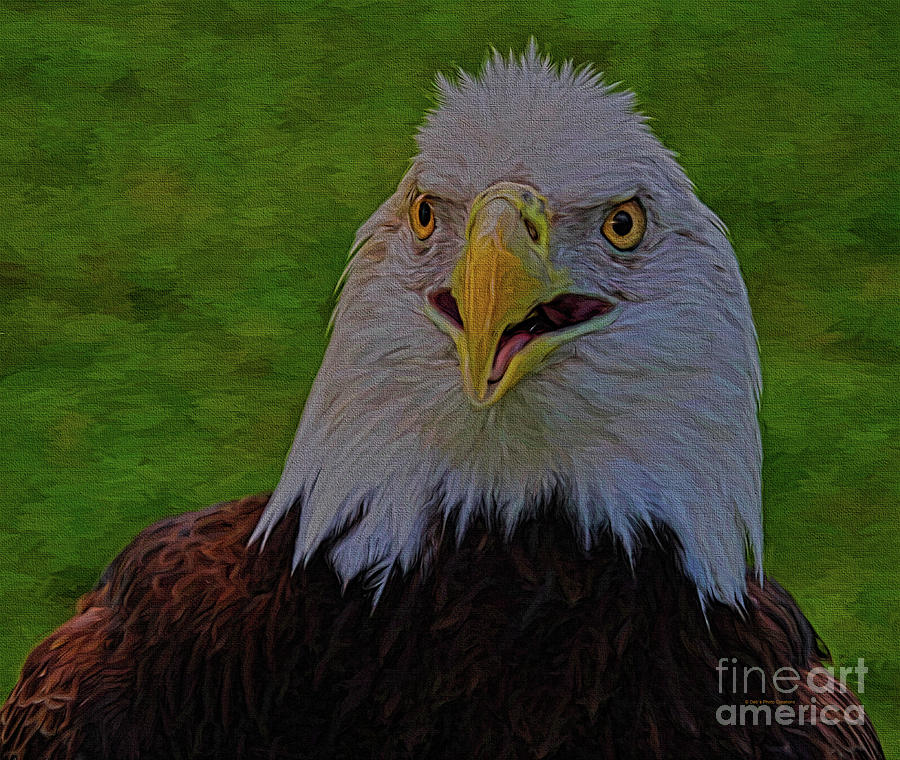 Thunder Eagle Painting by Deborah Benoit