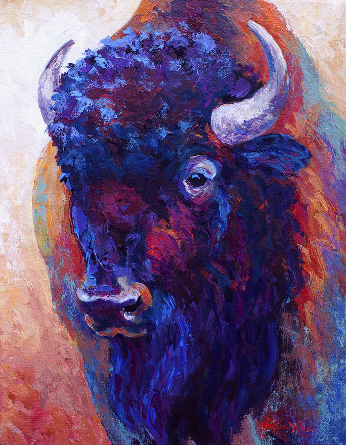 Bison Painting - Thunder Horse by Marion Rose