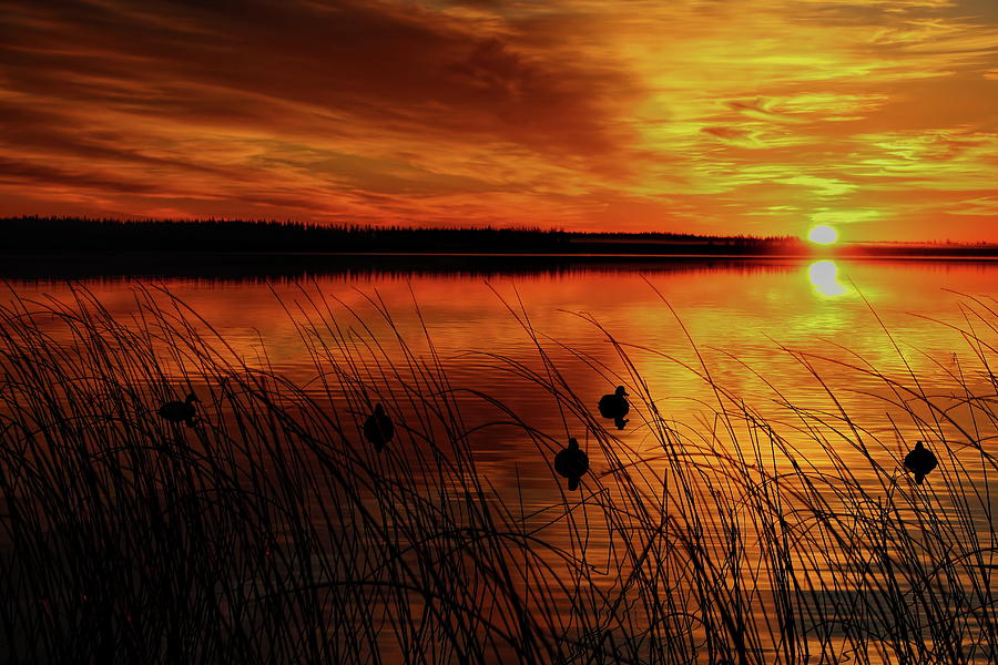 Thunder Lake Sunrise Photograph by Dale Kauzlaric