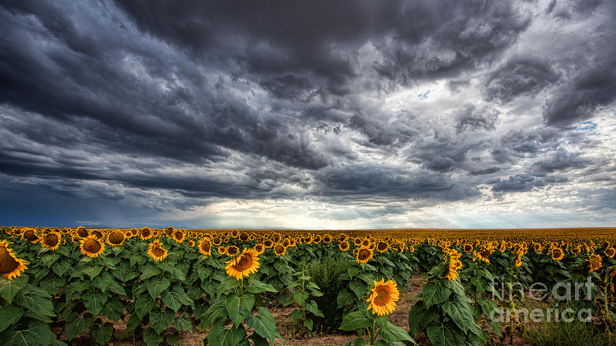 Thunder on the Plains Photograph by Jim Garrison
