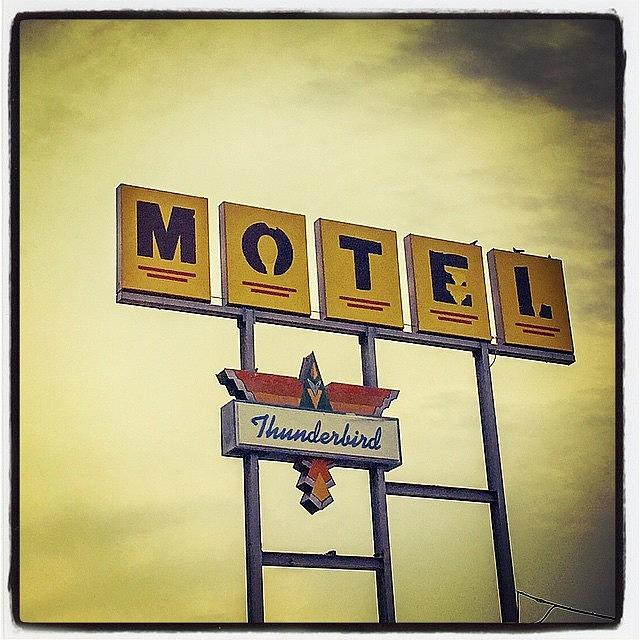 Sign Photograph - Thunderbird Motel #sign #americana by Alexis Fleisig