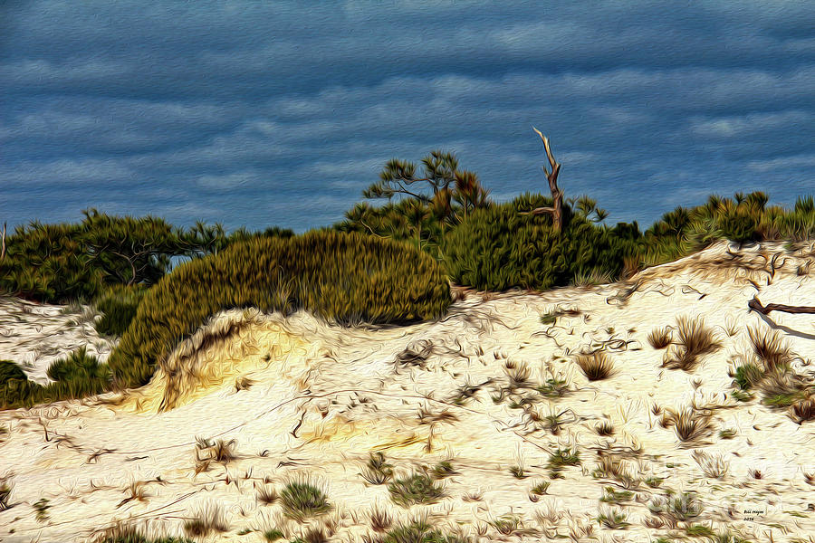 Thunderclouds Over St George Island Beach Dunes Painting by DB Hayes