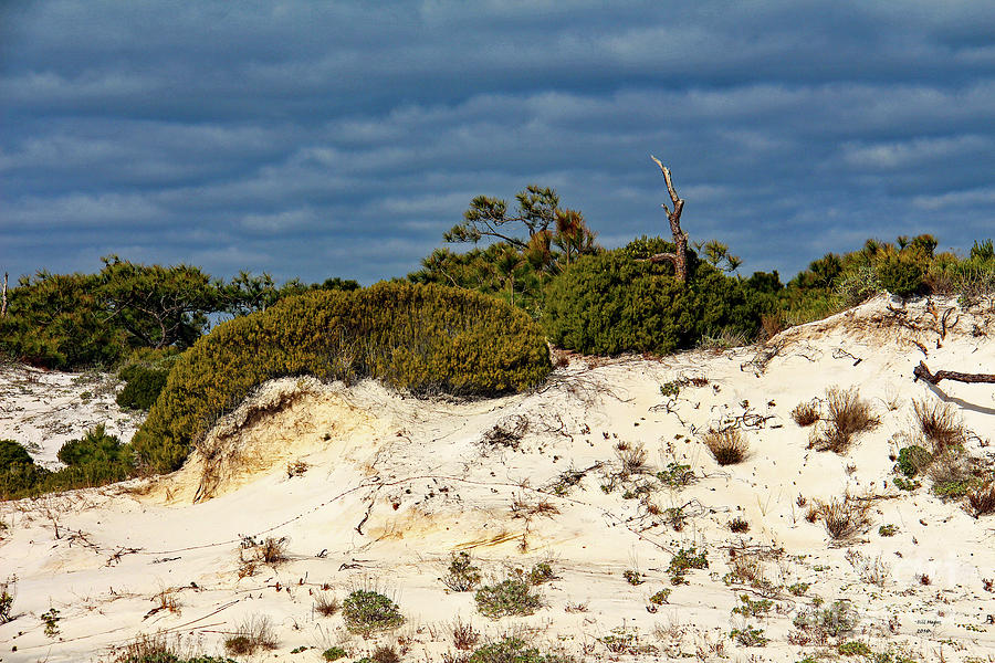 Thunderclouds Over St George Island Beach Dunes II Photograph by DB Hayes