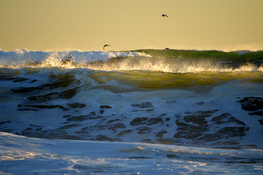 Thundering Surf - Cape Cod National Seashore Photograph by Dianne Cowen Cape Cod Photography