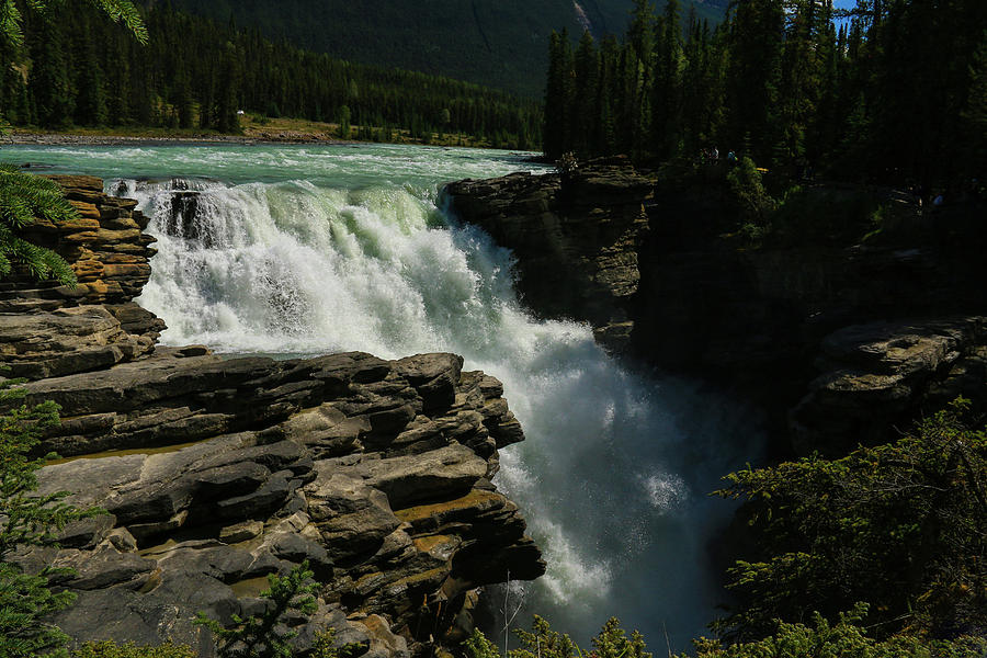 Thunderous Athabasca Falls Photograph by Ola Allen