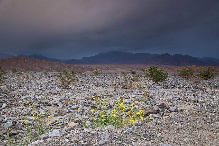 Thunderstorm over Death Valley National Park Photograph by Kunal Mehra