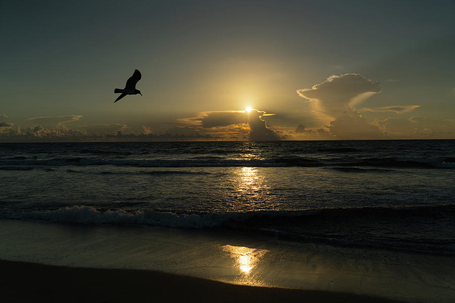 Thunderstorm Sunrise Delray Beach Florida Photograph by Lawrence S Richardson Jr