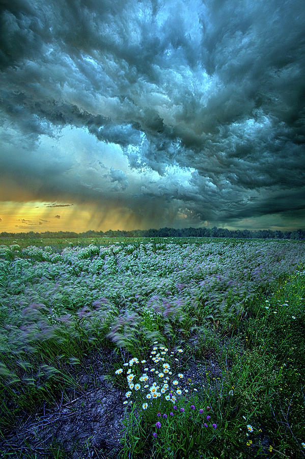 Thy Will Be Done Photograph by Phil Koch