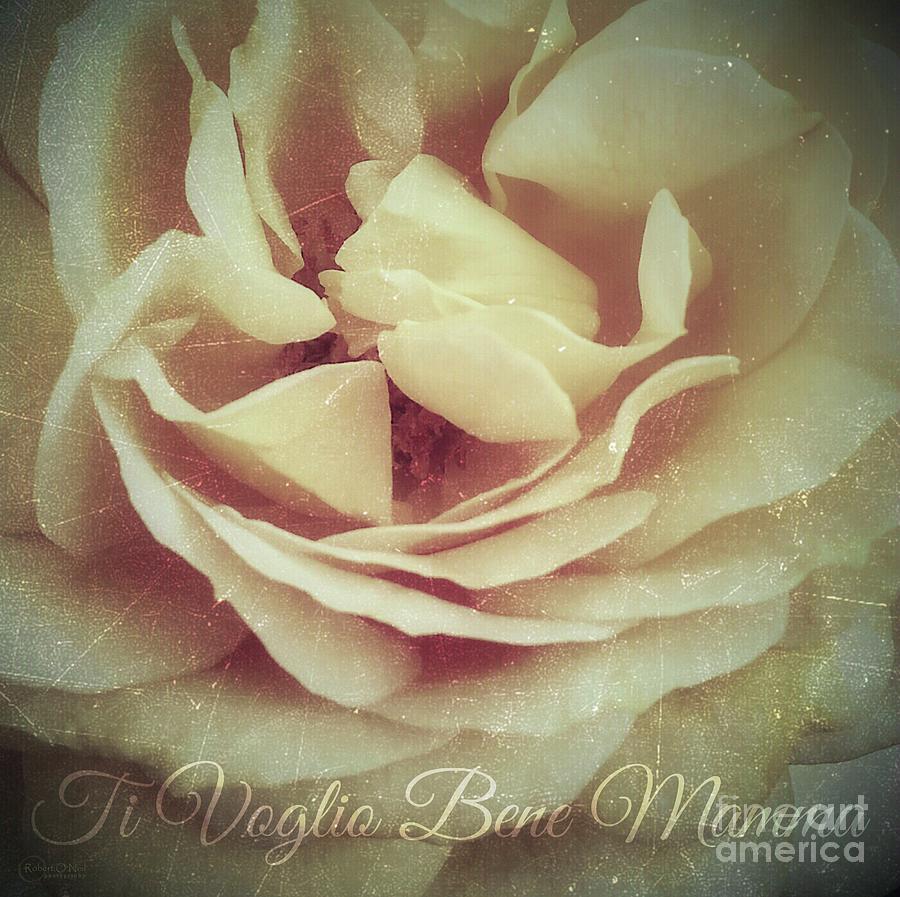 Ti Voglio Bene Mamma with Text and Texture Photograph by Robert ONeil