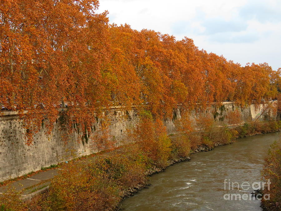 Tiber River in Autumn 3 Photograph by Laurie Morgan