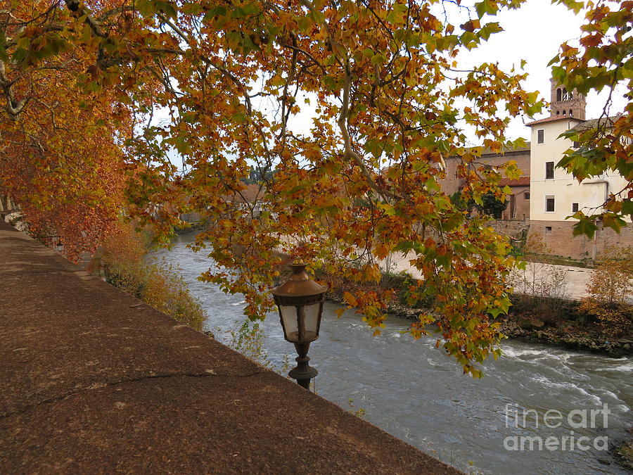 Tiber River In Autumn Photograph