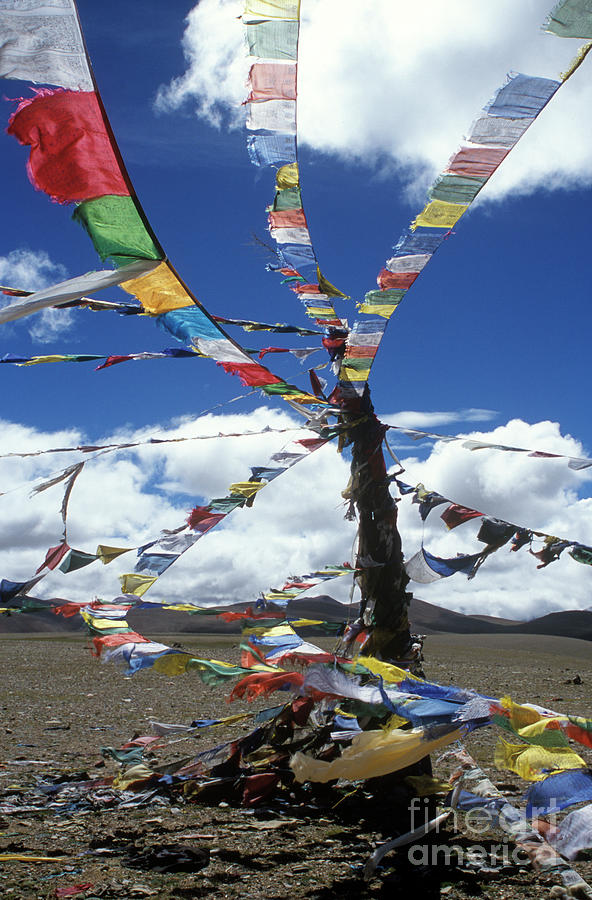 Tibet_304-8 Photograph by Craig Lovell