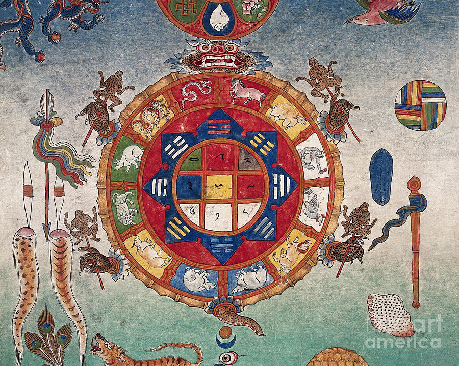 Tibetan Bloodletting Chart Photograph by Wellcome Images