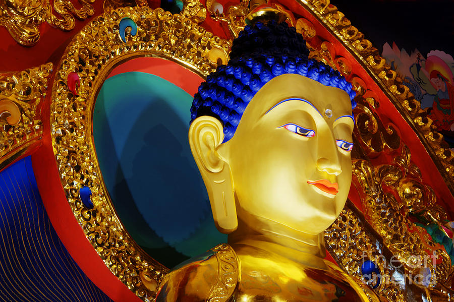 Tibetan Buddha 6 Photograph by Bob Christopher