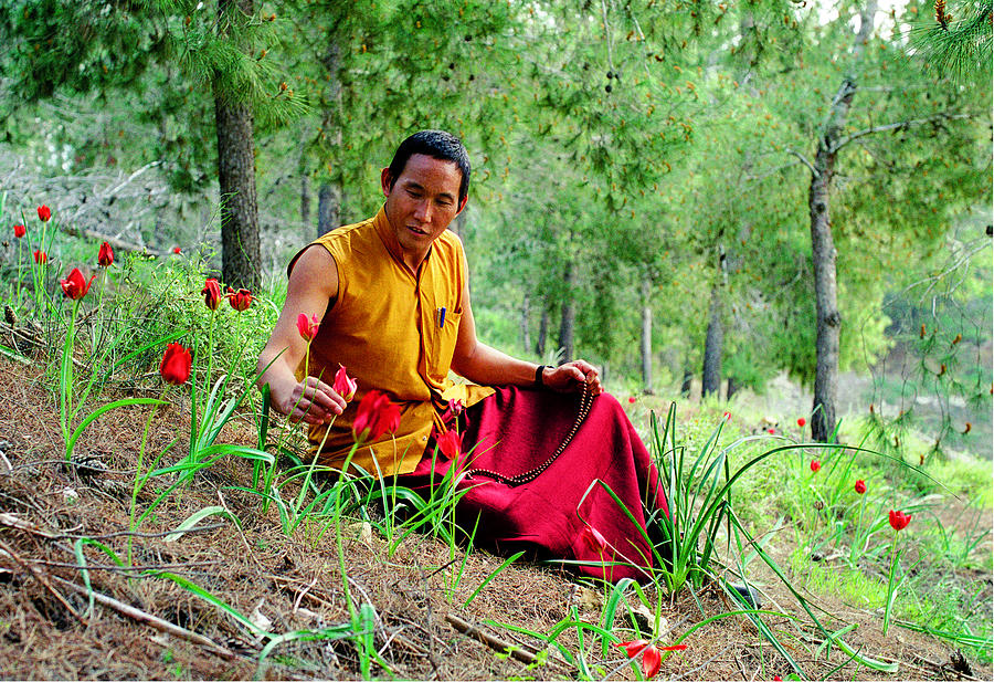 Tibetan doctor in Lahav forest Photograph by Dubi Roman