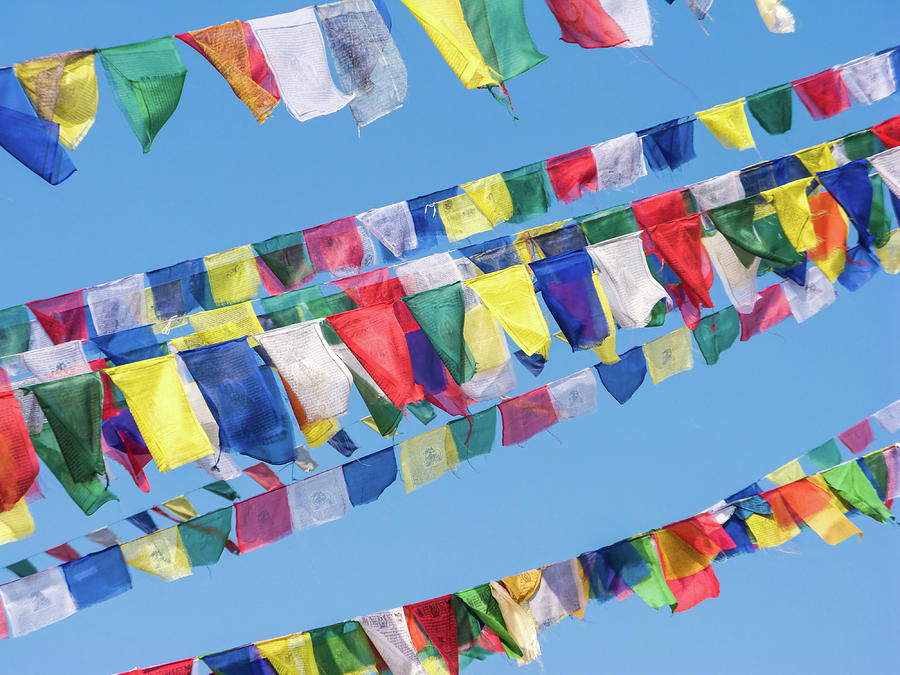 Buddha Photograph - Tibetan Prayer Flags by Nila Newsom