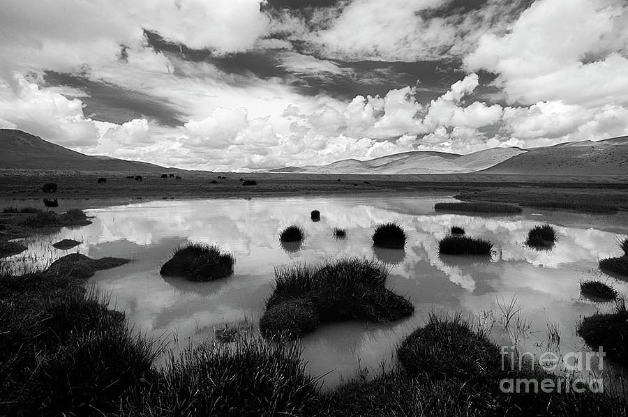 Tibetan Reflections by Craig Lovell Tibetan Reflections by Craig Lovell