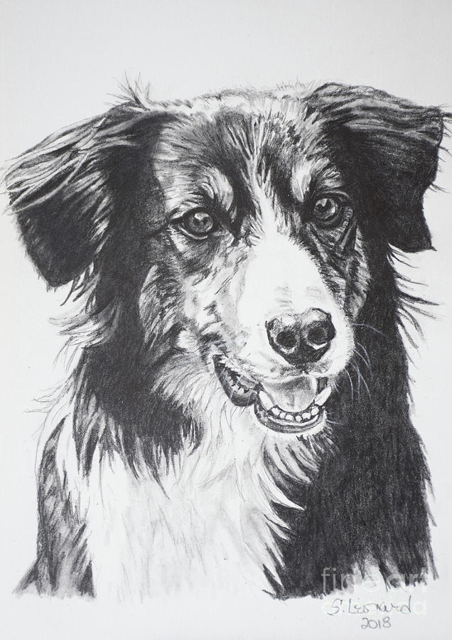 Dog Drawing - Ticket by Suzanne Leonard