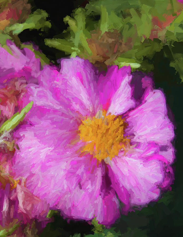 Tickle Me Pink Moss Rose Photograph by Kathy Clark