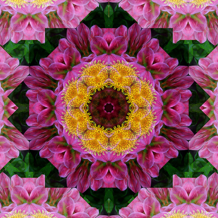 Tickled Pink Digital Art by Ann Bridges